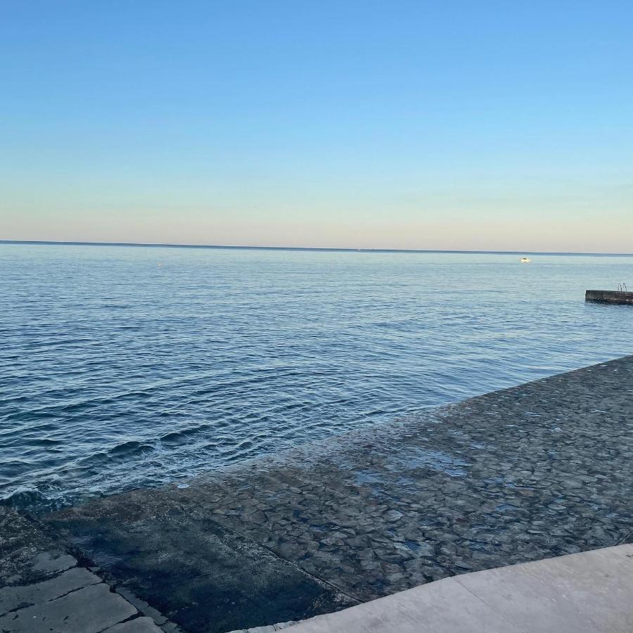דירות Novigrad Istria App Robi מראה חיצוני תמונה